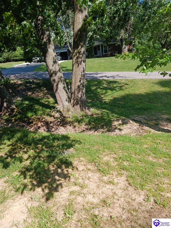 83 Bradley Trail Elizabethtown, KY 42701 #2