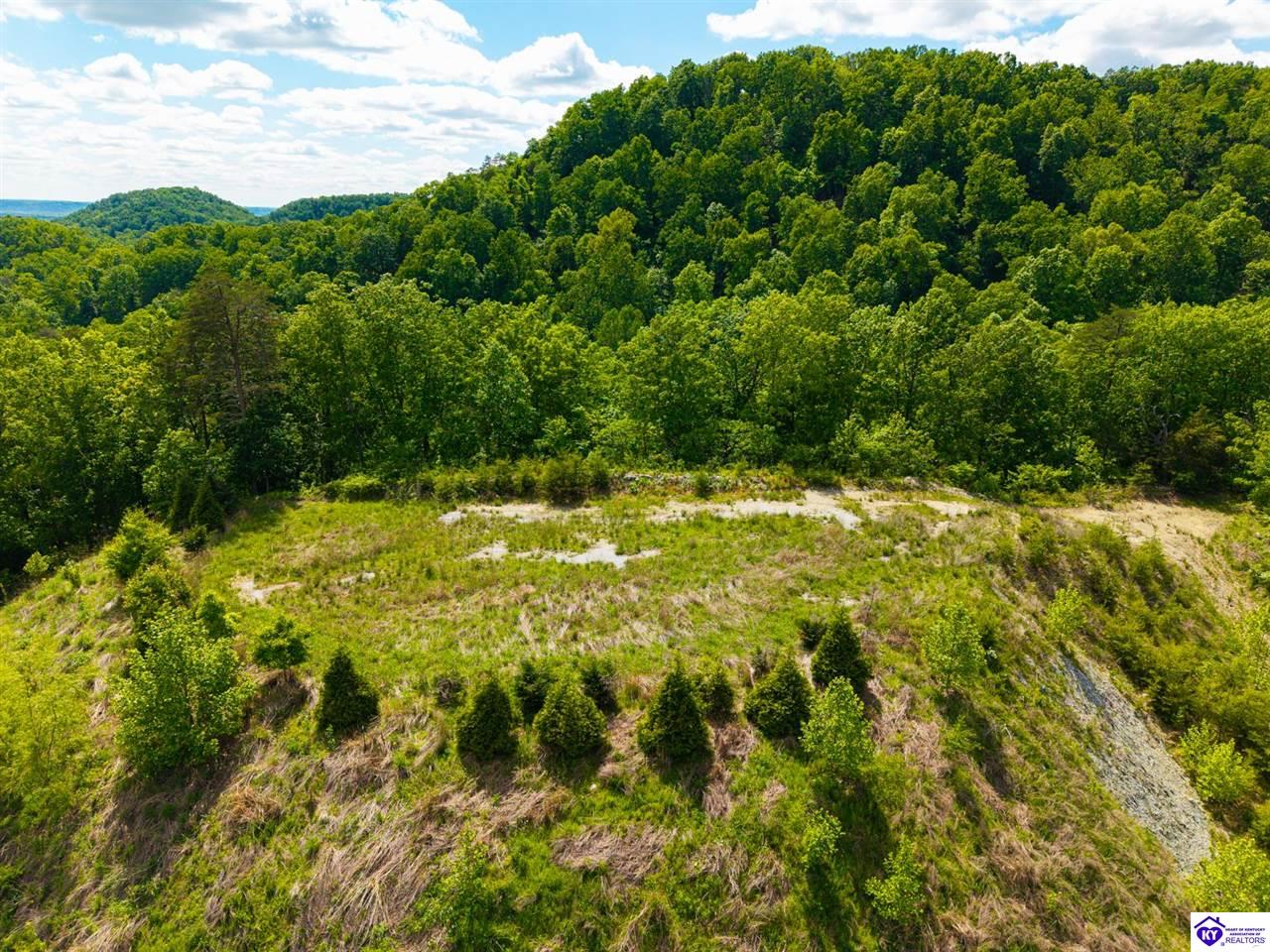 0 Horsefly Hollow Road Lebanon Junction, KY 40150 #4