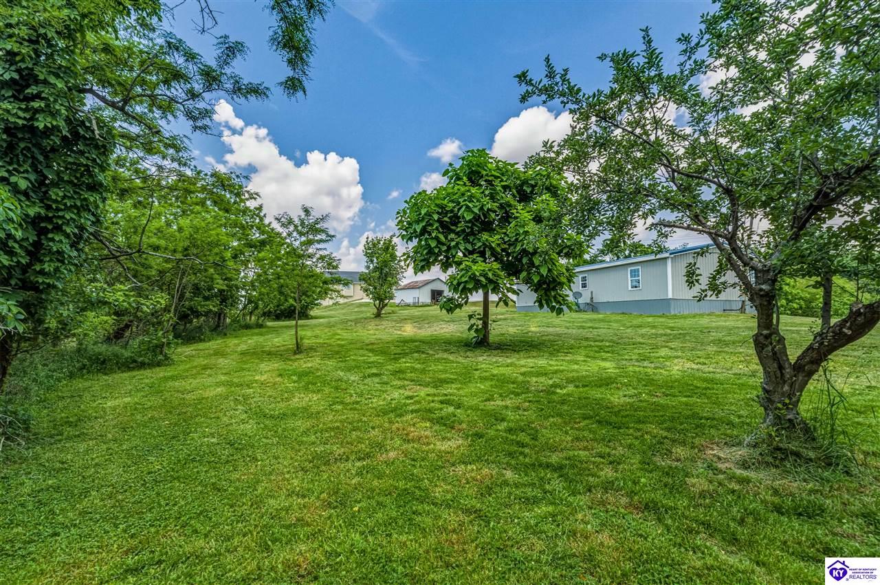 2422 E Highway 86 Irvington, KY 40146 #1