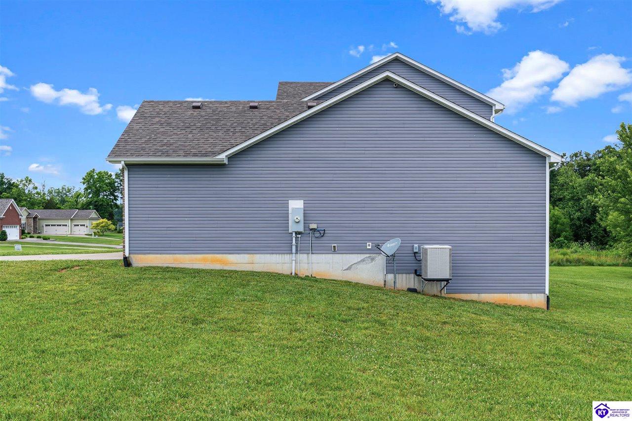 22 N Antelope Court Rineyville, KY 40162 #4