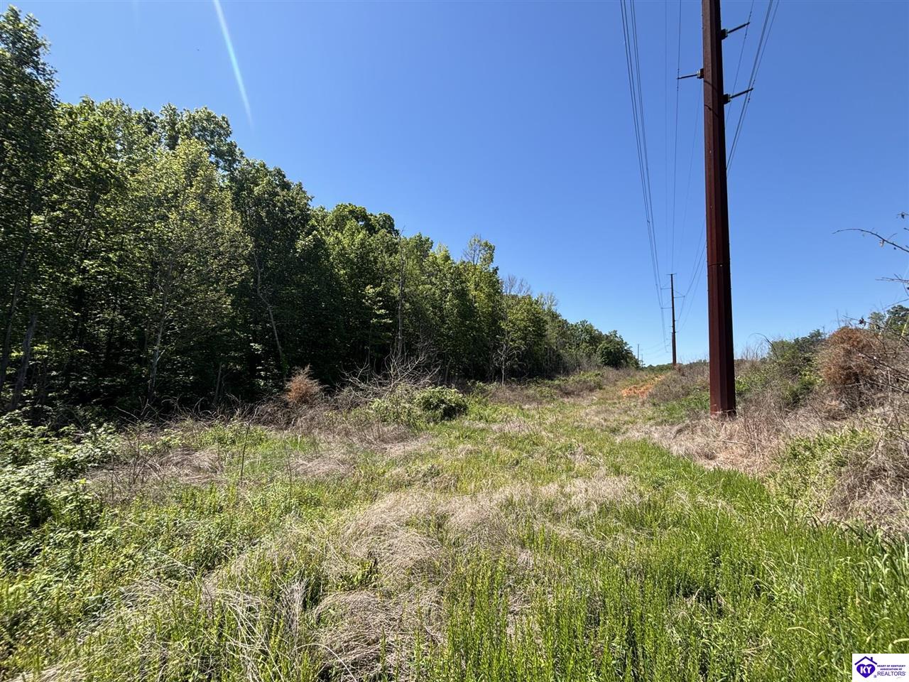 1999 Olin Road Brandenburg, KY 40108 #4