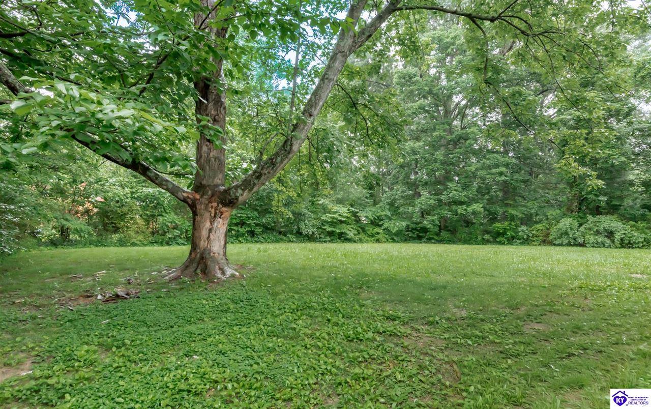 183 Indiana Trail Radcliff, KY 40160 #3
