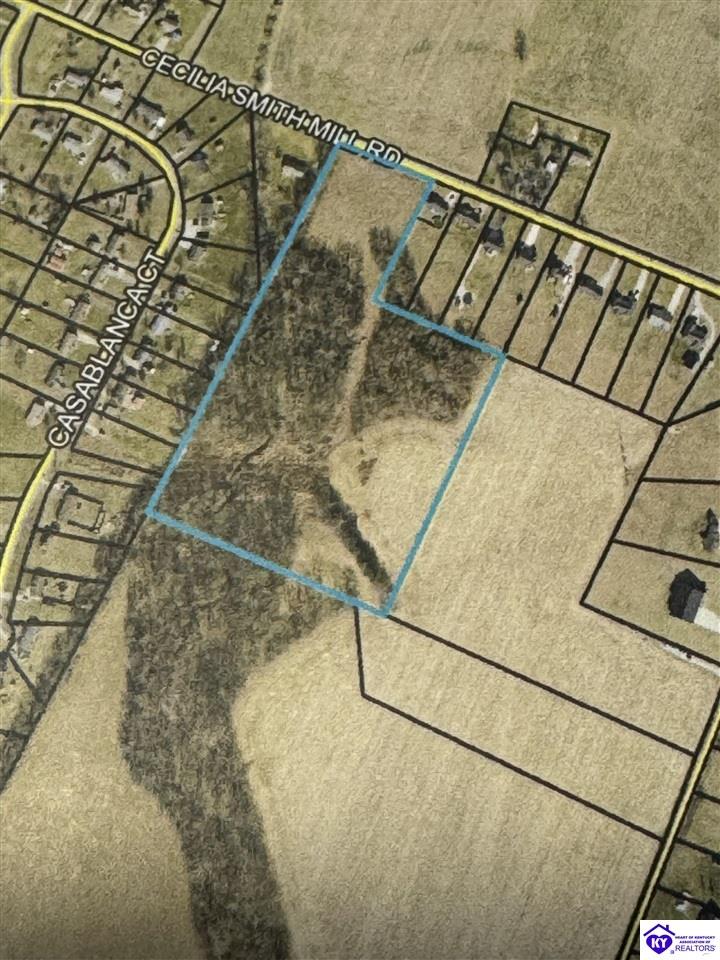 Lot 1 Cecilia Smiths Mill RoadCecilia,&nbsp;KY&nbsp;42724