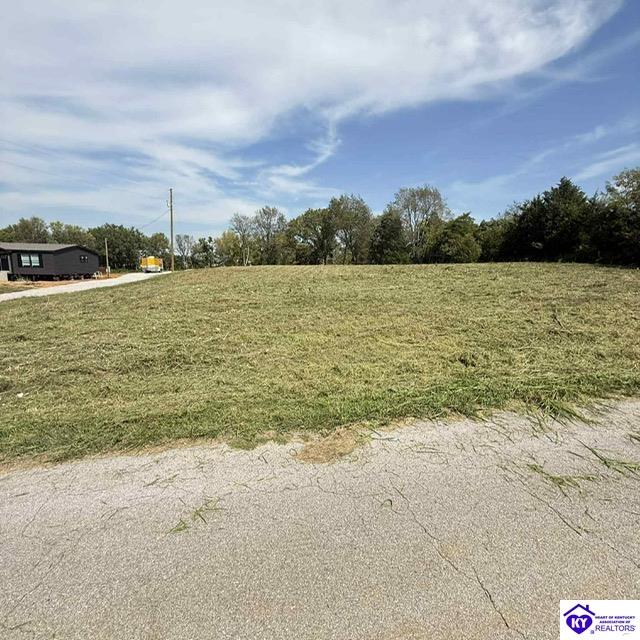 Lot 6 Stith Valley RoadGuston,&nbsp;KY&nbsp;40142