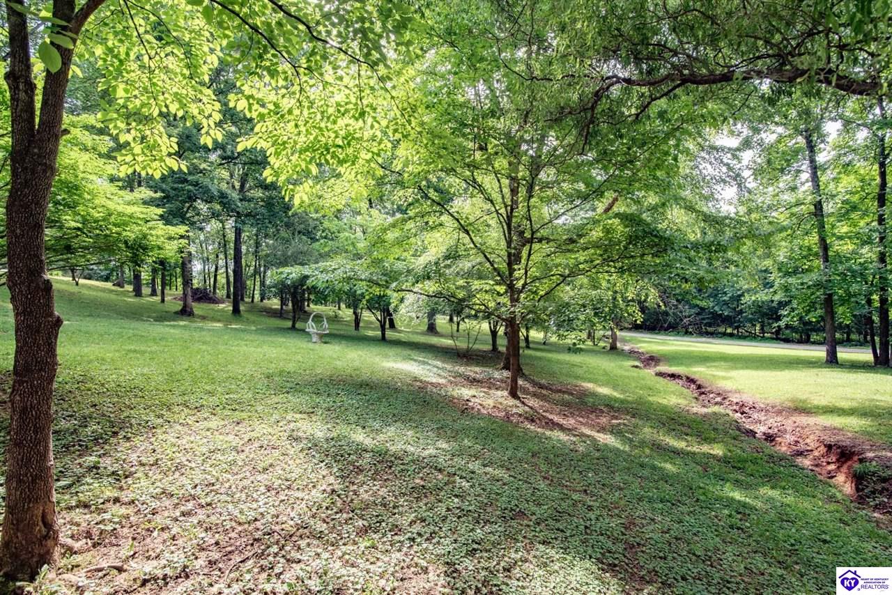 70 Dreamland Road Clarkson, KY 42726 #4