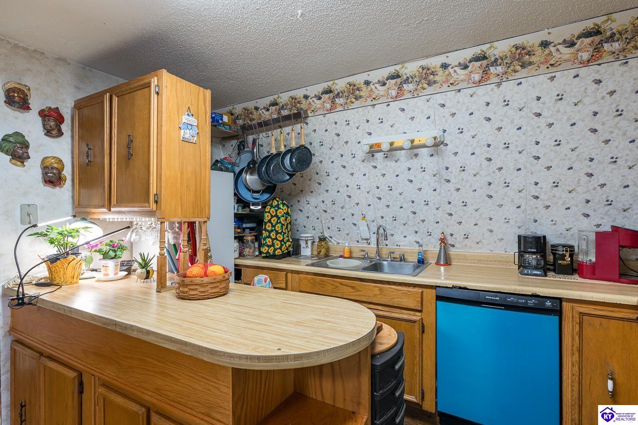 4296 Berrytown Road Rineyville, KY 40162 #3