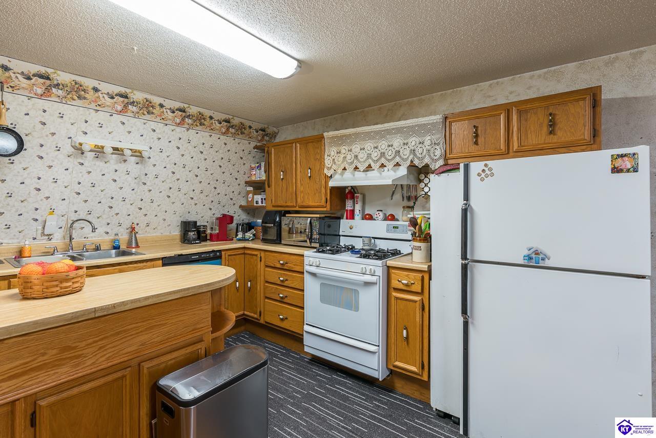 4296 Berrytown Road Rineyville, KY 40162 #4