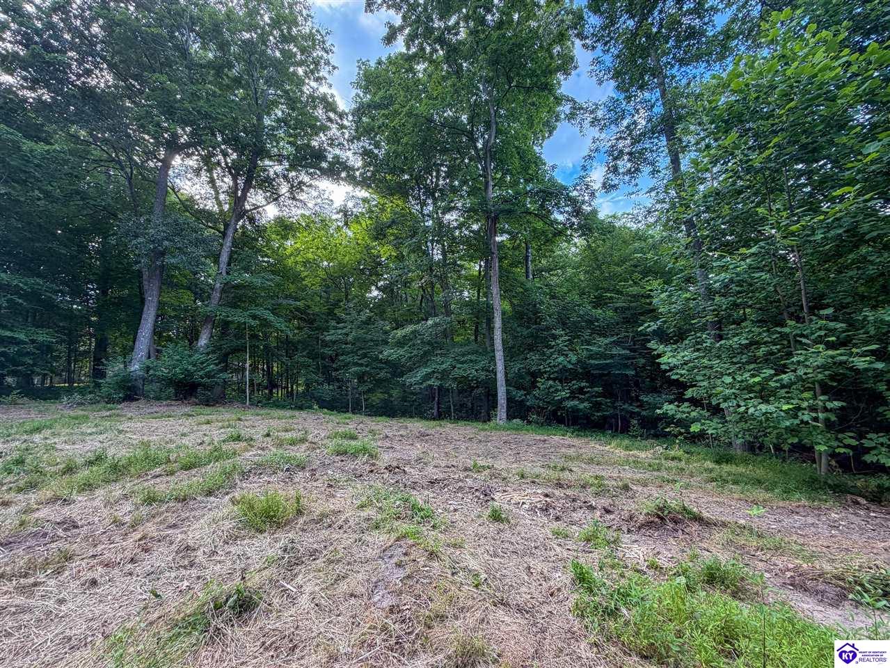 Lot 16 Ferncliff Road Brandenburg, KY 40108 #2