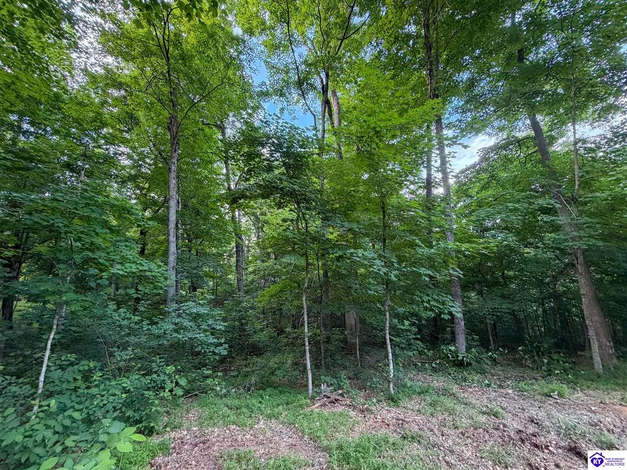 Lot 16 Ferncliff Road Brandenburg, KY 40108 #3