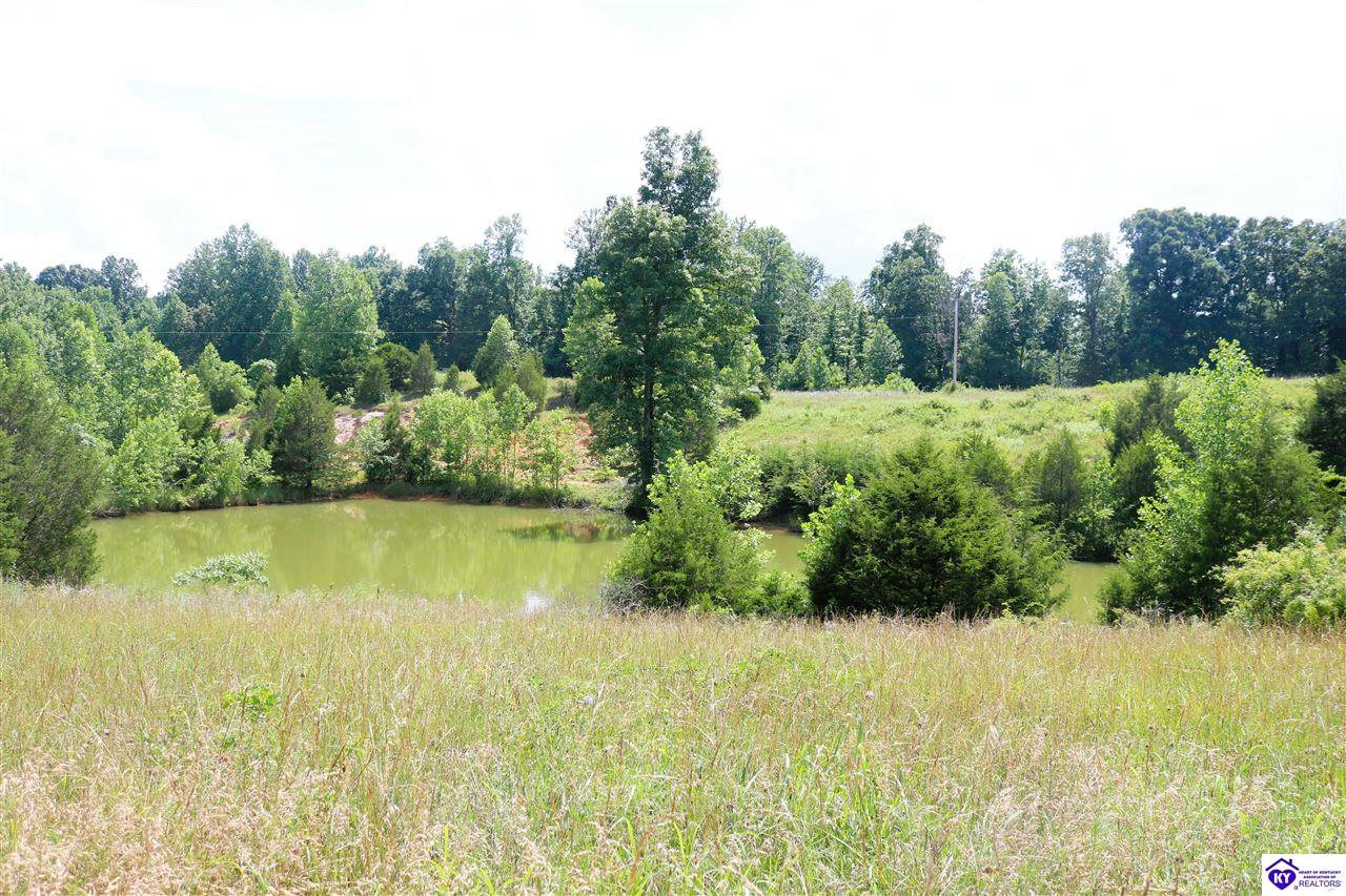 0 Levi Beam RoadMagnolia,&nbsp;KY&nbsp;42757