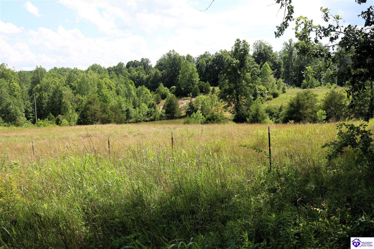 0 Levi Beam Road Magnolia, KY 42757 #1