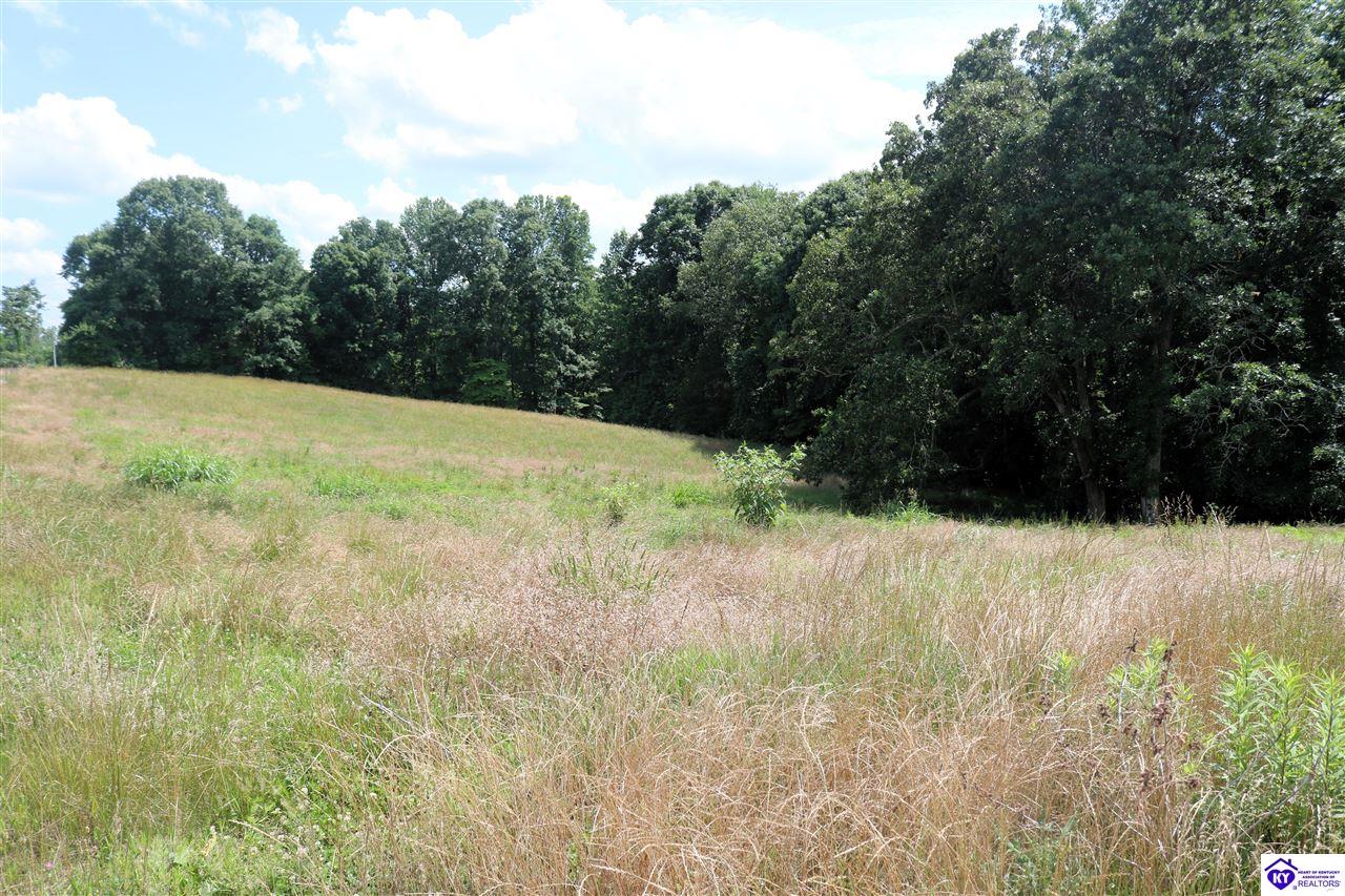 0 Levi Beam Road Magnolia, KY 42757 #3