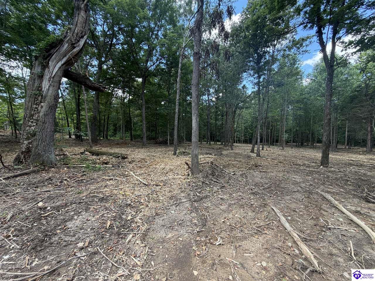 Lot 16 RedhawkRineyville,&nbsp;KY&nbsp;40162