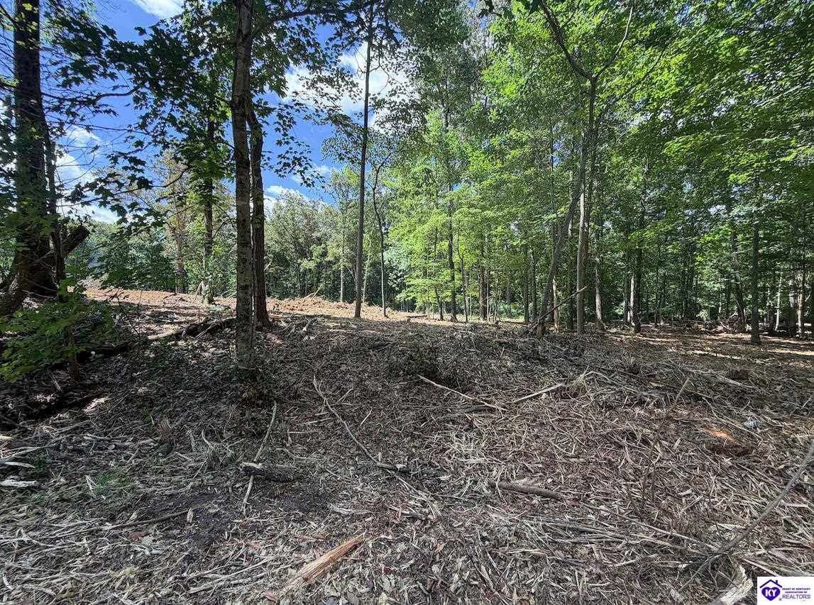Lot 15 RedhawkRineyville,&nbsp;KY&nbsp;40162
