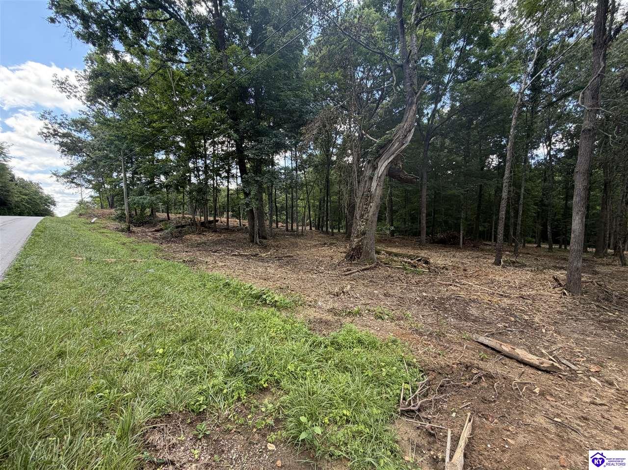 Lot 15 Redhawk Rineyville, KY 40162 #1