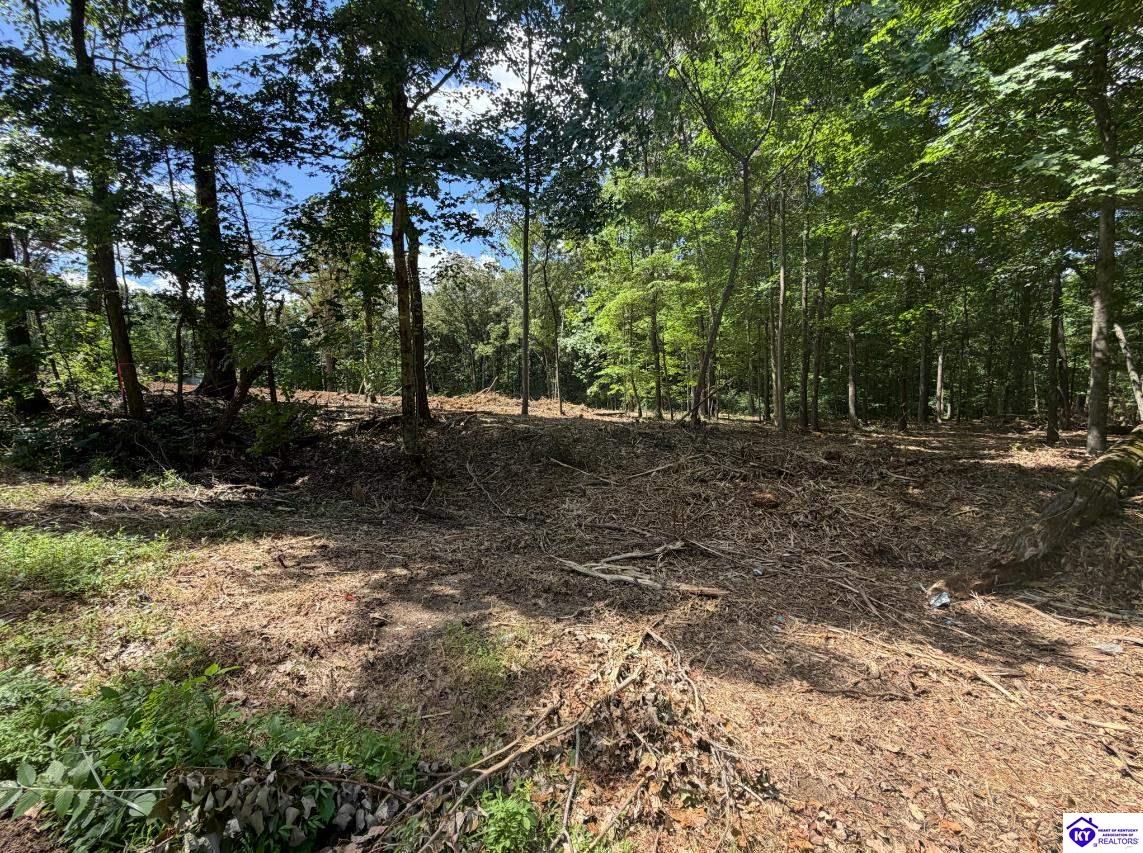 Lot 15 Redhawk Rineyville, KY 40162 #2