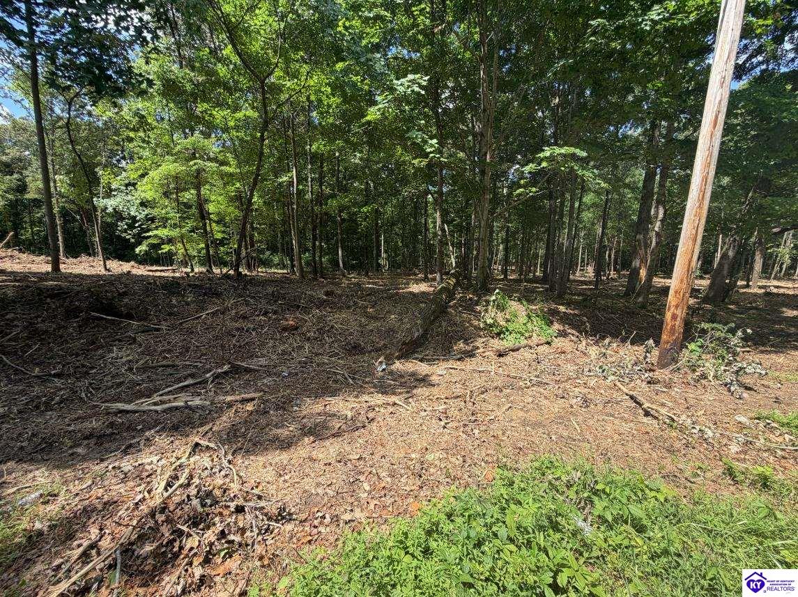 Lot 15 Redhawk Rineyville, KY 40162 #3