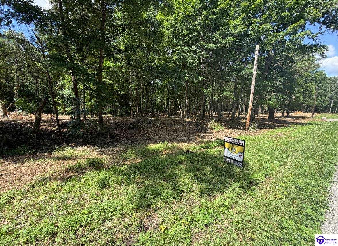 Lot 15 Redhawk Rineyville, KY 40162 #4