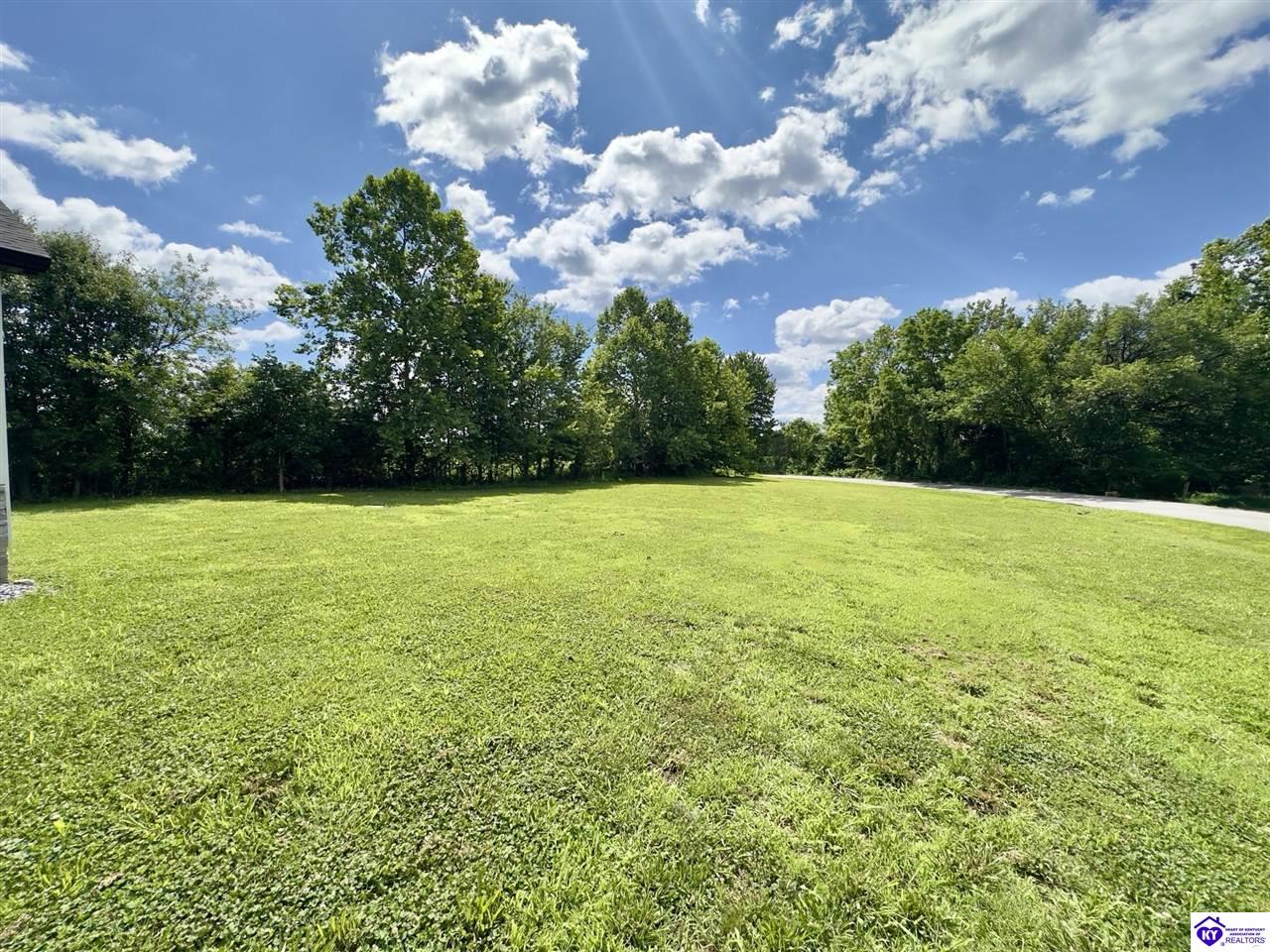 11 Chestnut Grove Road Elizabethtown, KY 42701 #3