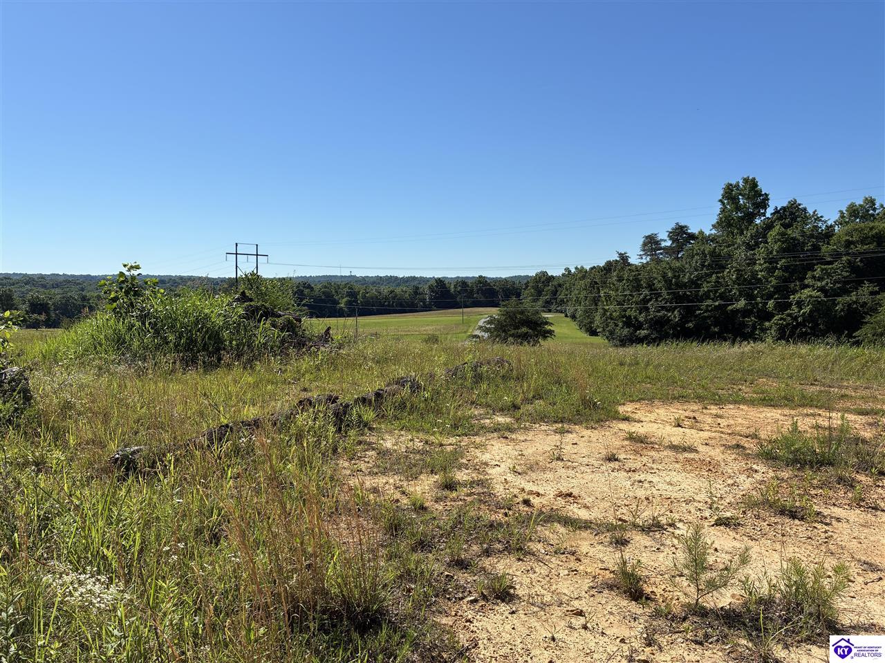 0 Indian Cliff Road Clarkson, KY 42726 #2