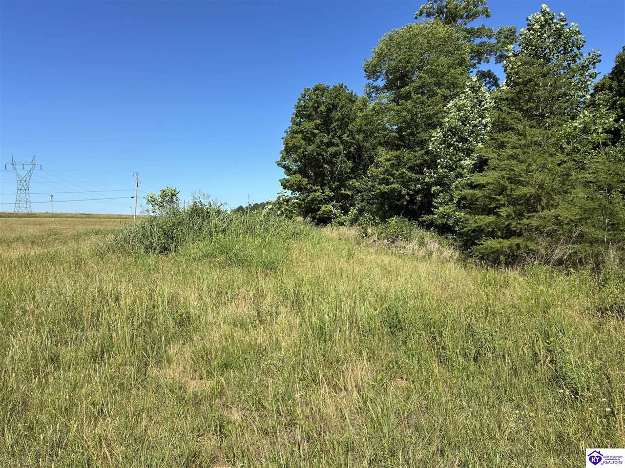 0 Indian Cliff Road Clarkson, KY 42726 #3