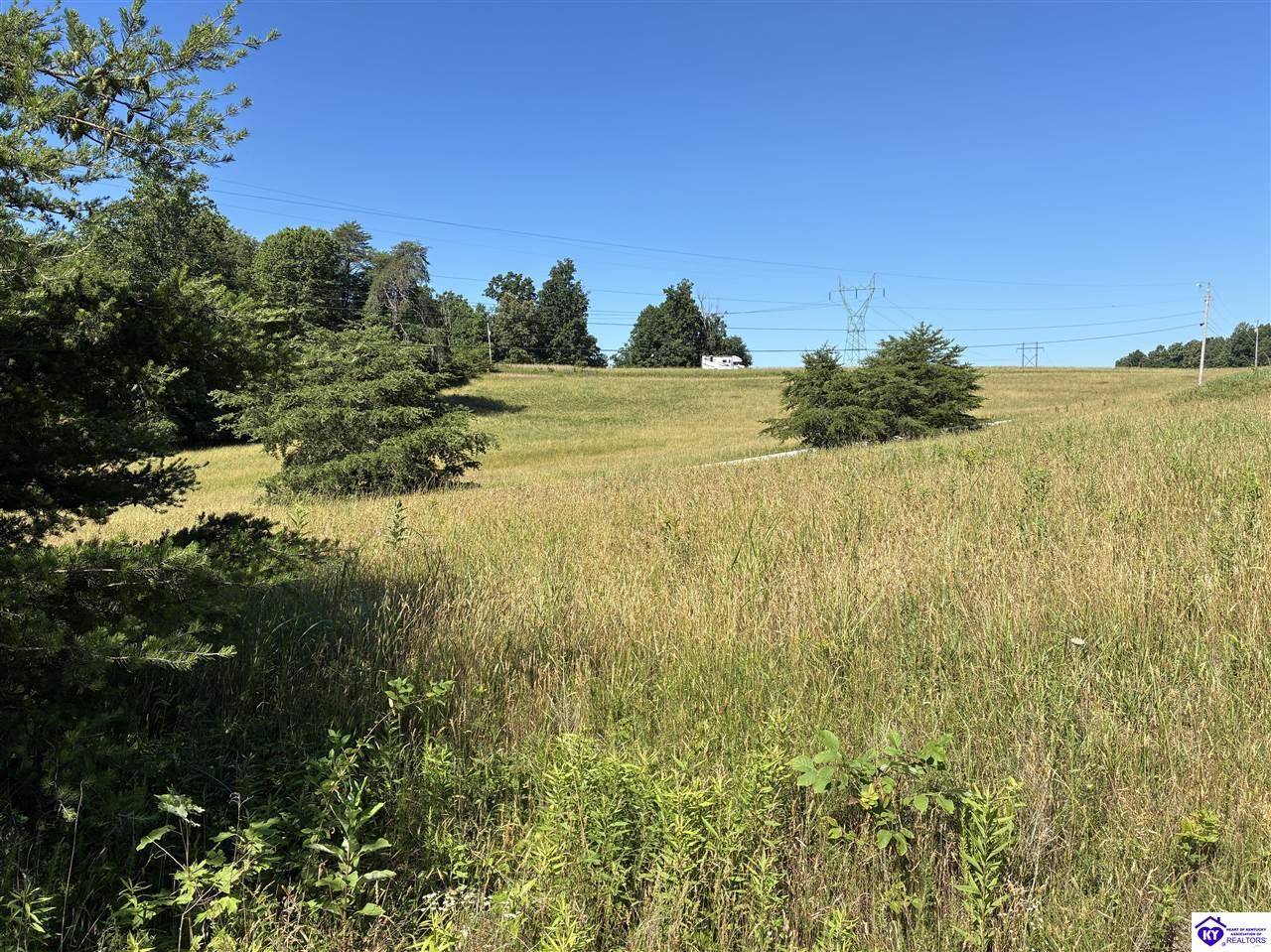 0 Indian Cliff Road Clarkson, KY 42726 #4