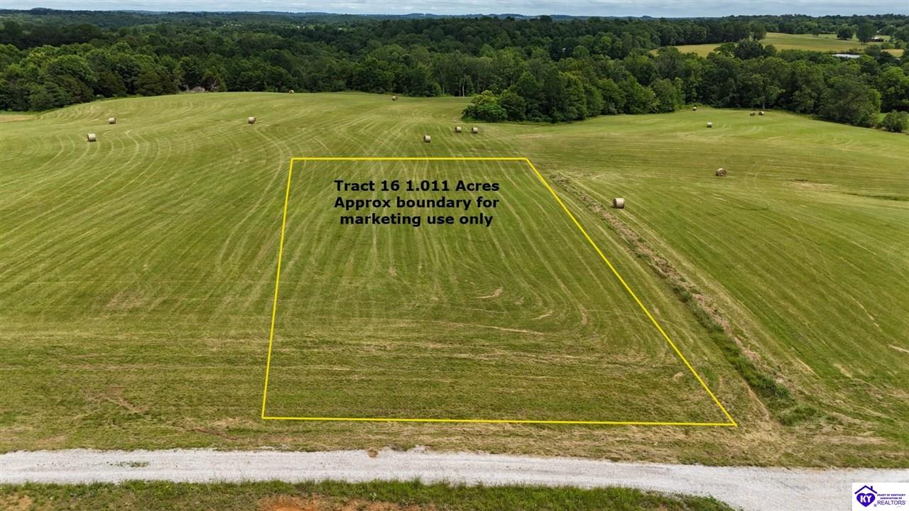Tract 16 Moore Farm RoadLeitchfield,&nbsp;KY&nbsp;42754