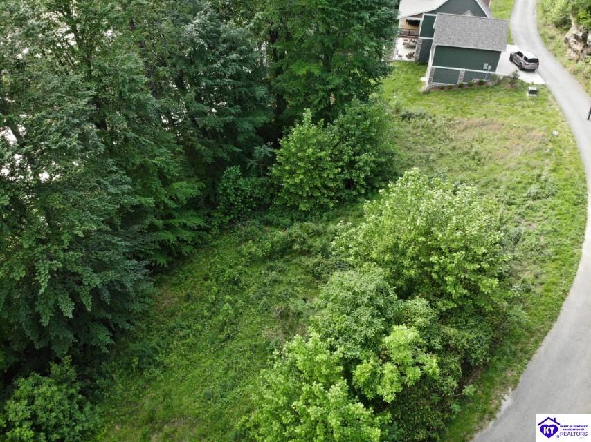 2164 Patriot Shores Lane Westview, KY 40178 #4