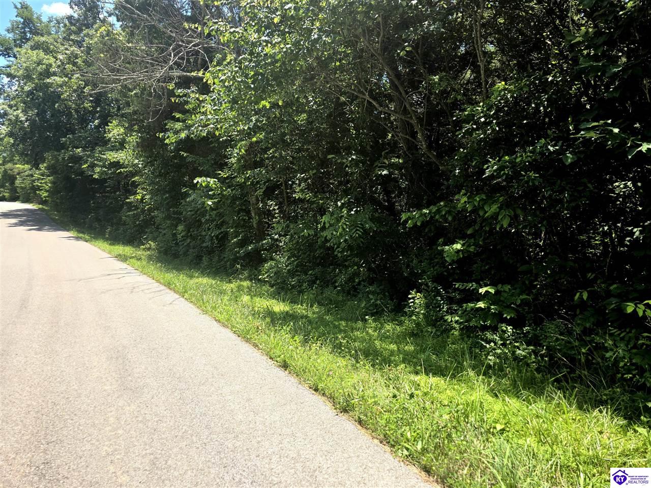 Tract 2 Johnson Harris School RoadRineyville,&nbsp;KY&nbsp;40162