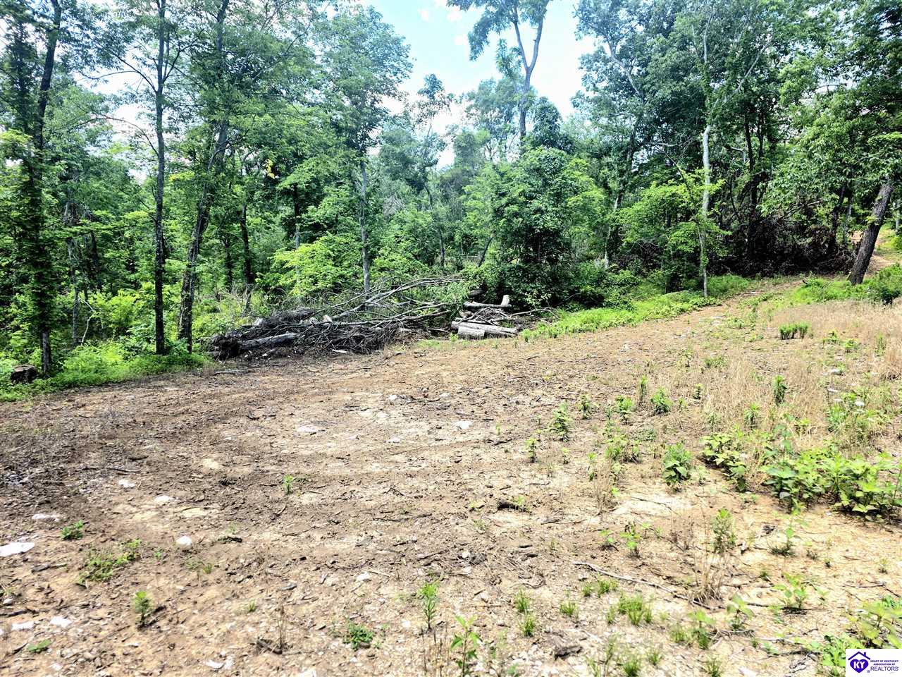 Tract 2 Johnson Harris School Road Rineyville, KY 40162 #2