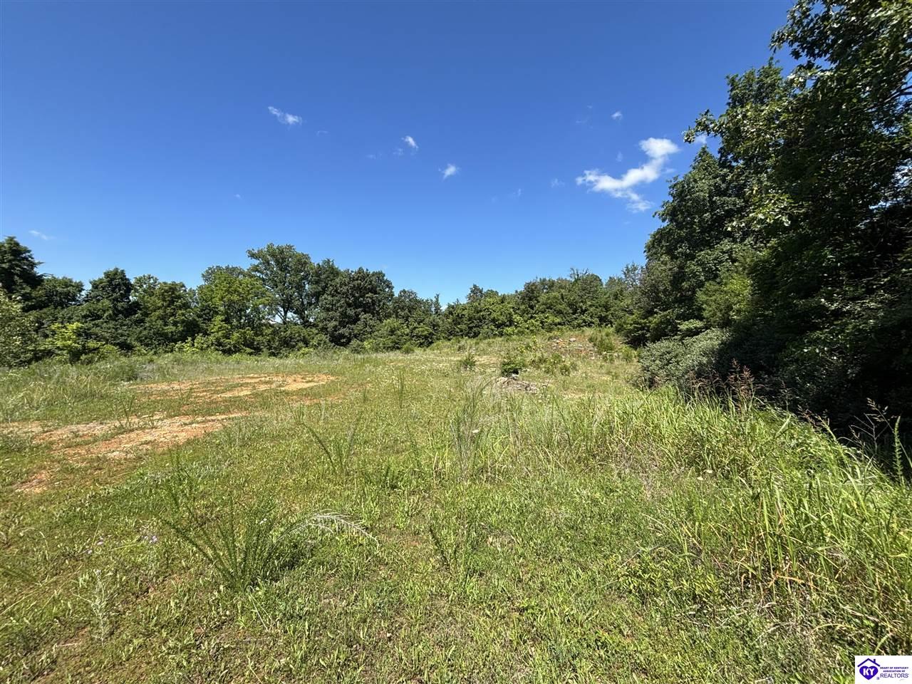370 Olin Road Brandenburg, KY 40108 #2