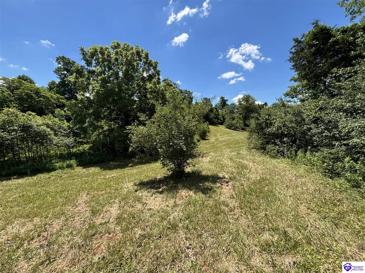 370 Olin Road Brandenburg, KY 40108 #3