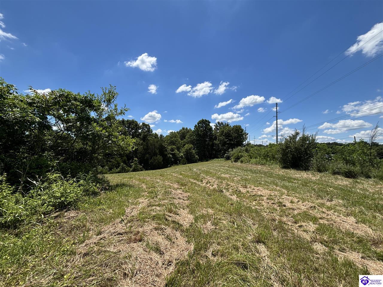130 Worley Lane Brandenburg, KY 40108 #3