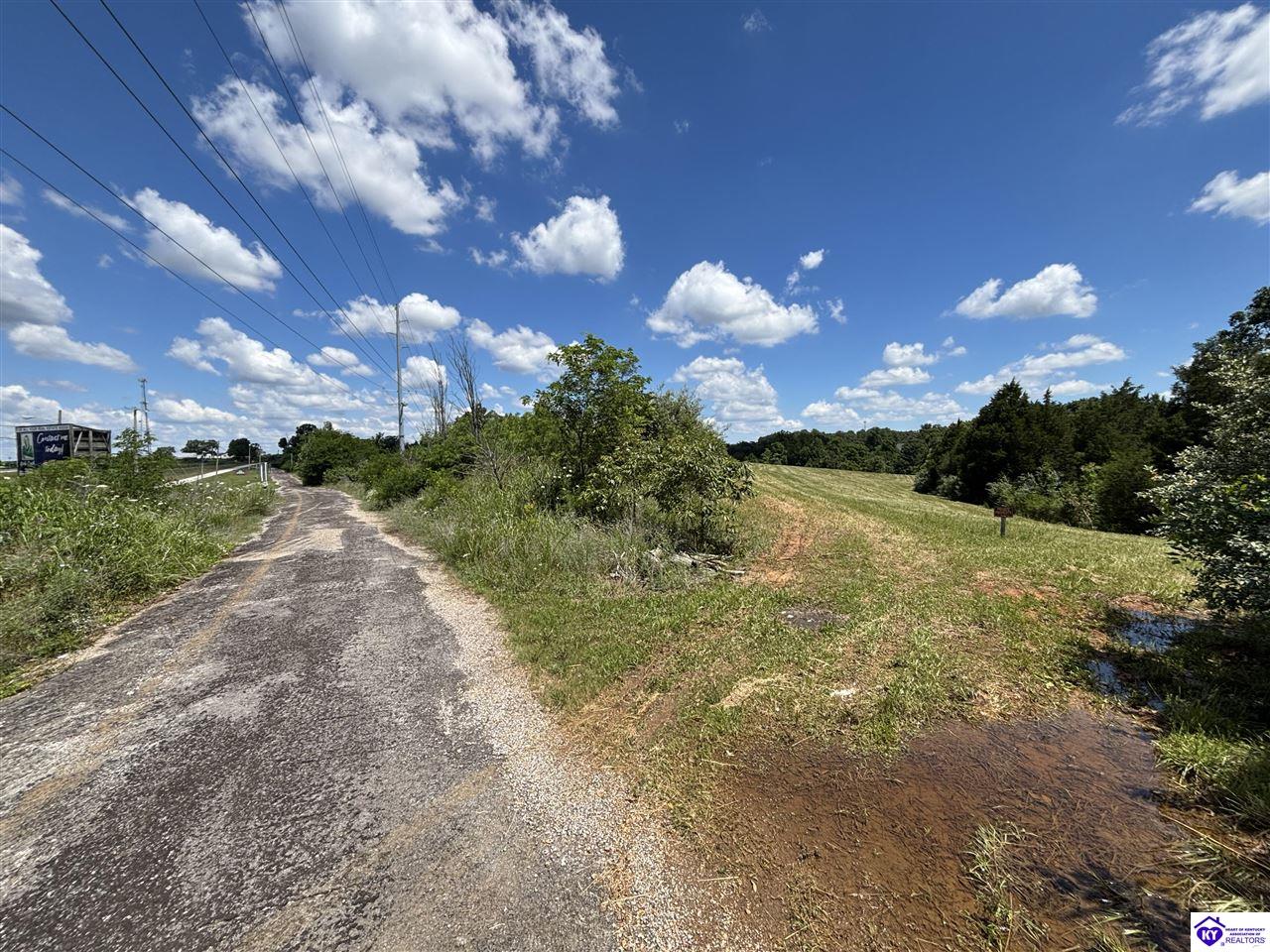 130 Worley Lane Brandenburg, KY 40108 #4