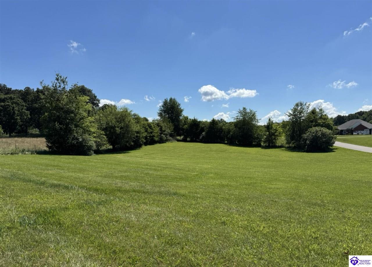 Lot 22 Dartmore Court Elizabethtown, KY 42701 #4