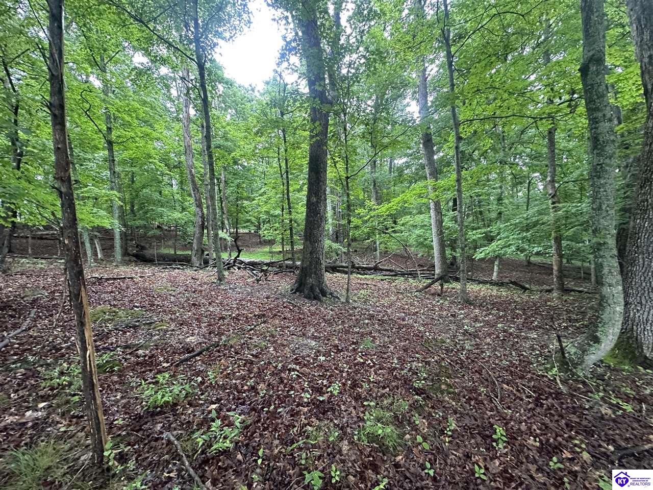 0 Red Wing RoadBrandenburg,&nbsp;KY&nbsp;40108
