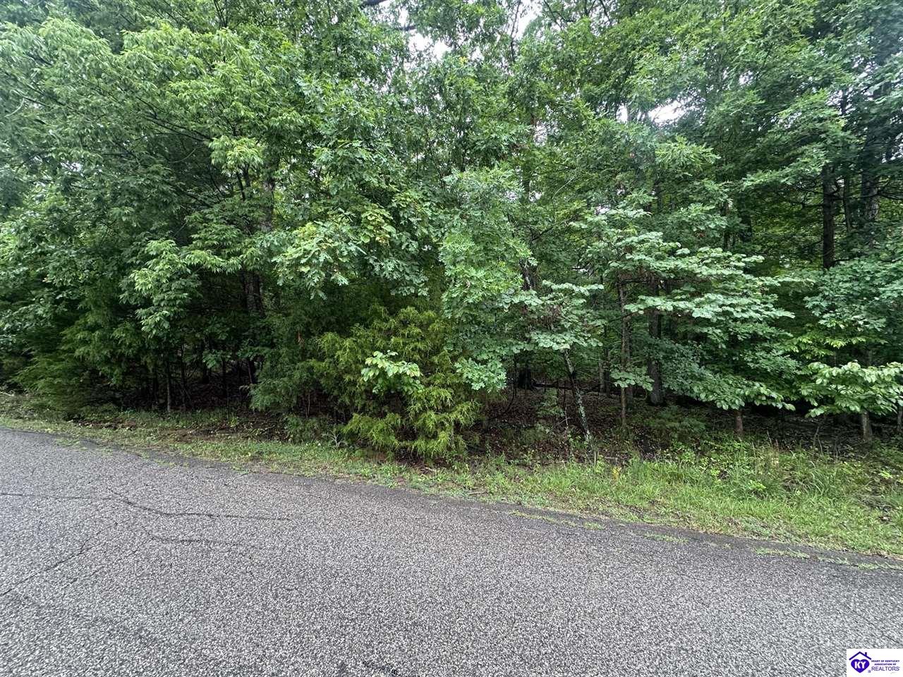 0 Red Wing Road Brandenburg, KY 40108 #1