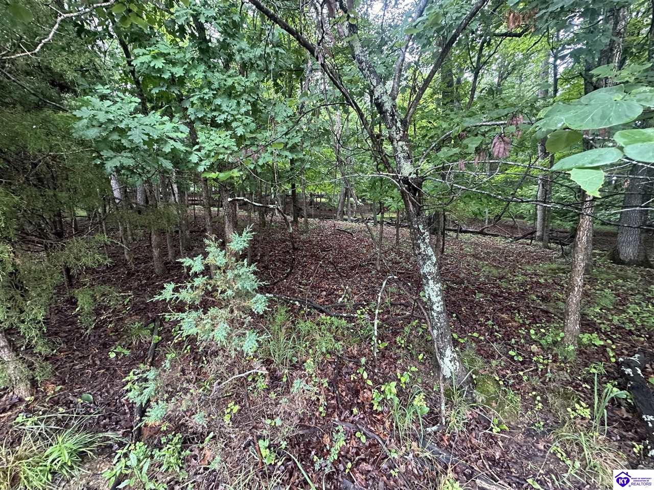0 Red Wing Road Brandenburg, KY 40108 #2