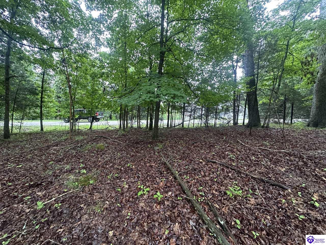 0 Red Wing Road Brandenburg, KY 40108 #4