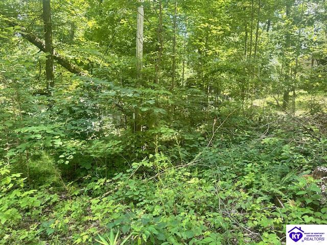 119 Mockingbird Lane Mammoth Cave, KY 42259 #1