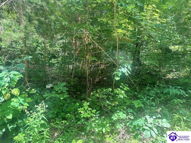 119 Mockingbird Lane Mammoth Cave, KY 42259 #2