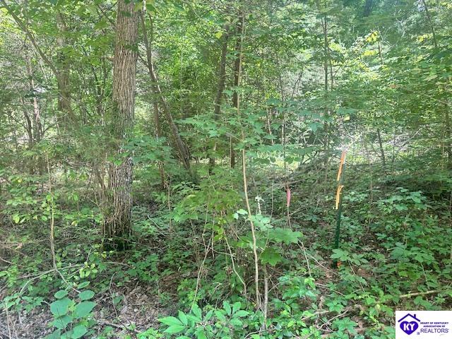 119 Mockingbird Lane Mammoth Cave, KY 42259 #3