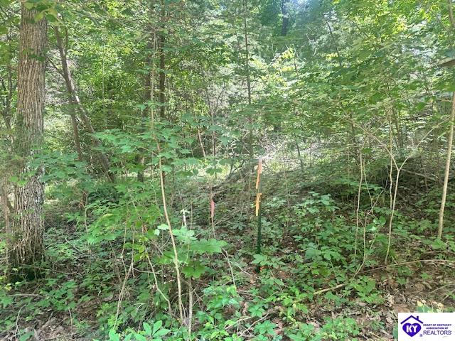 119 Mockingbird Lane Mammoth Cave, KY 42259 #4