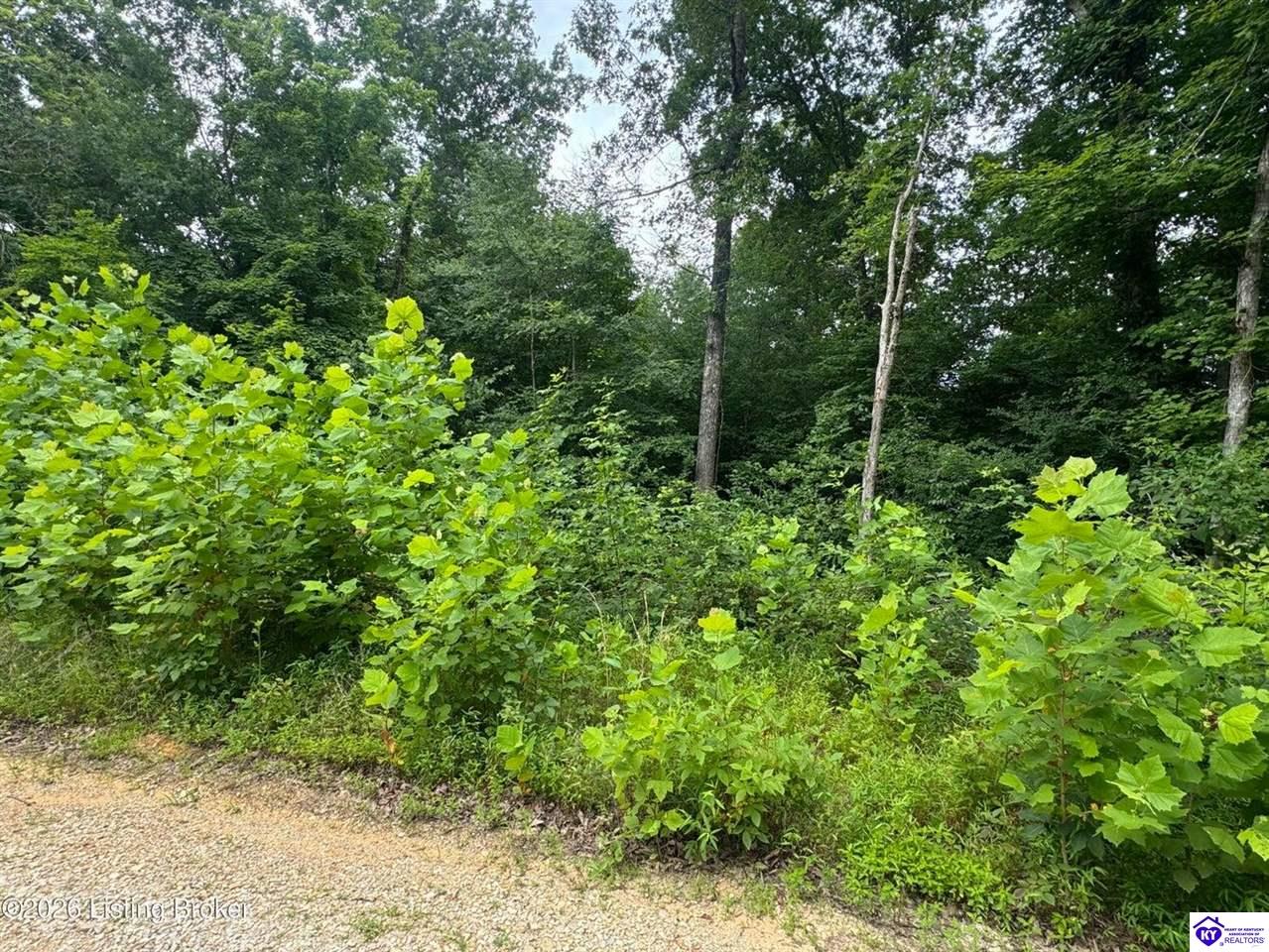 0 Ted Logsdon RoadClarkson,&nbsp;KY&nbsp;42726