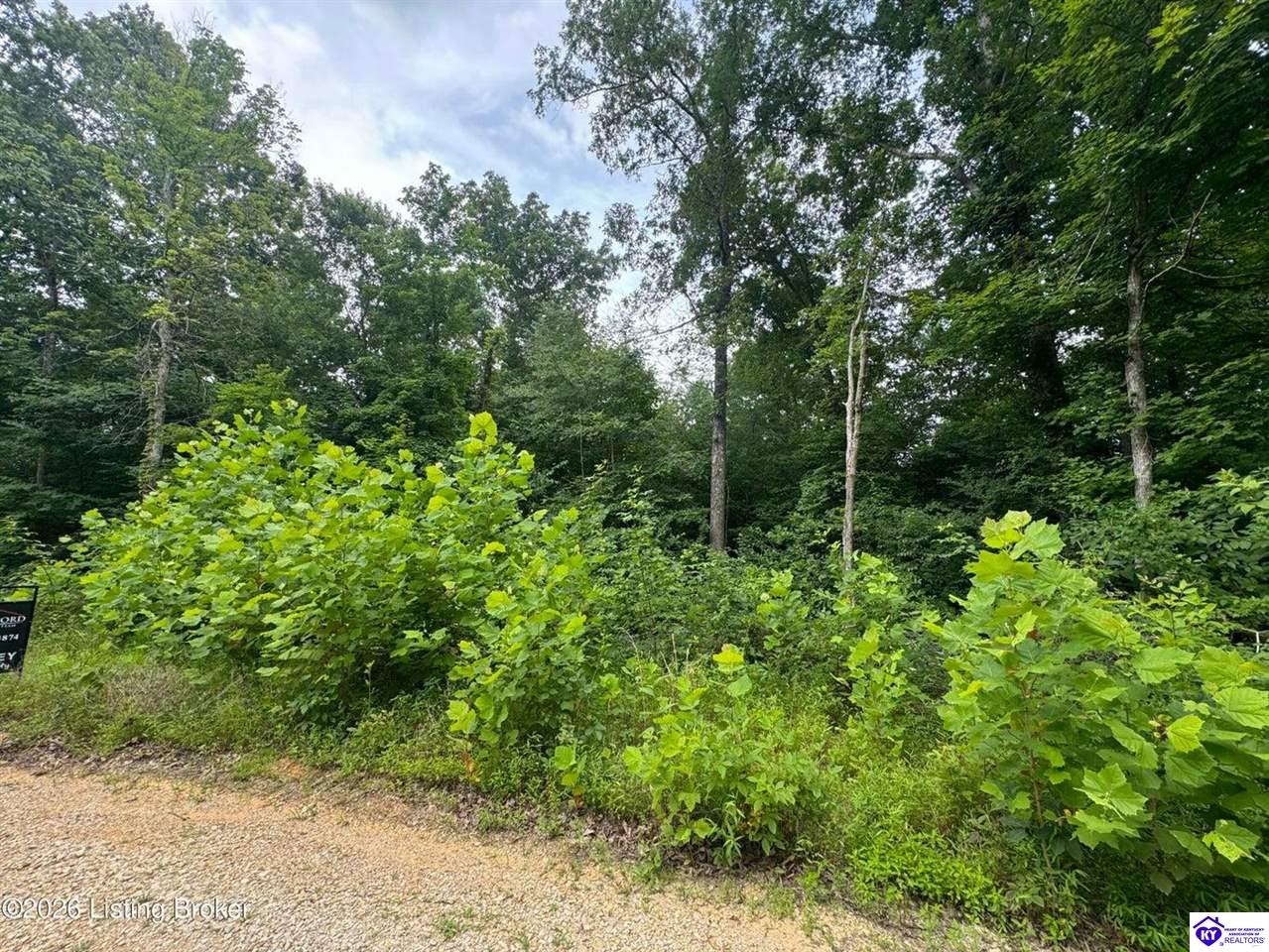 0 Ted Logsdon Road Clarkson, KY 42726 #2