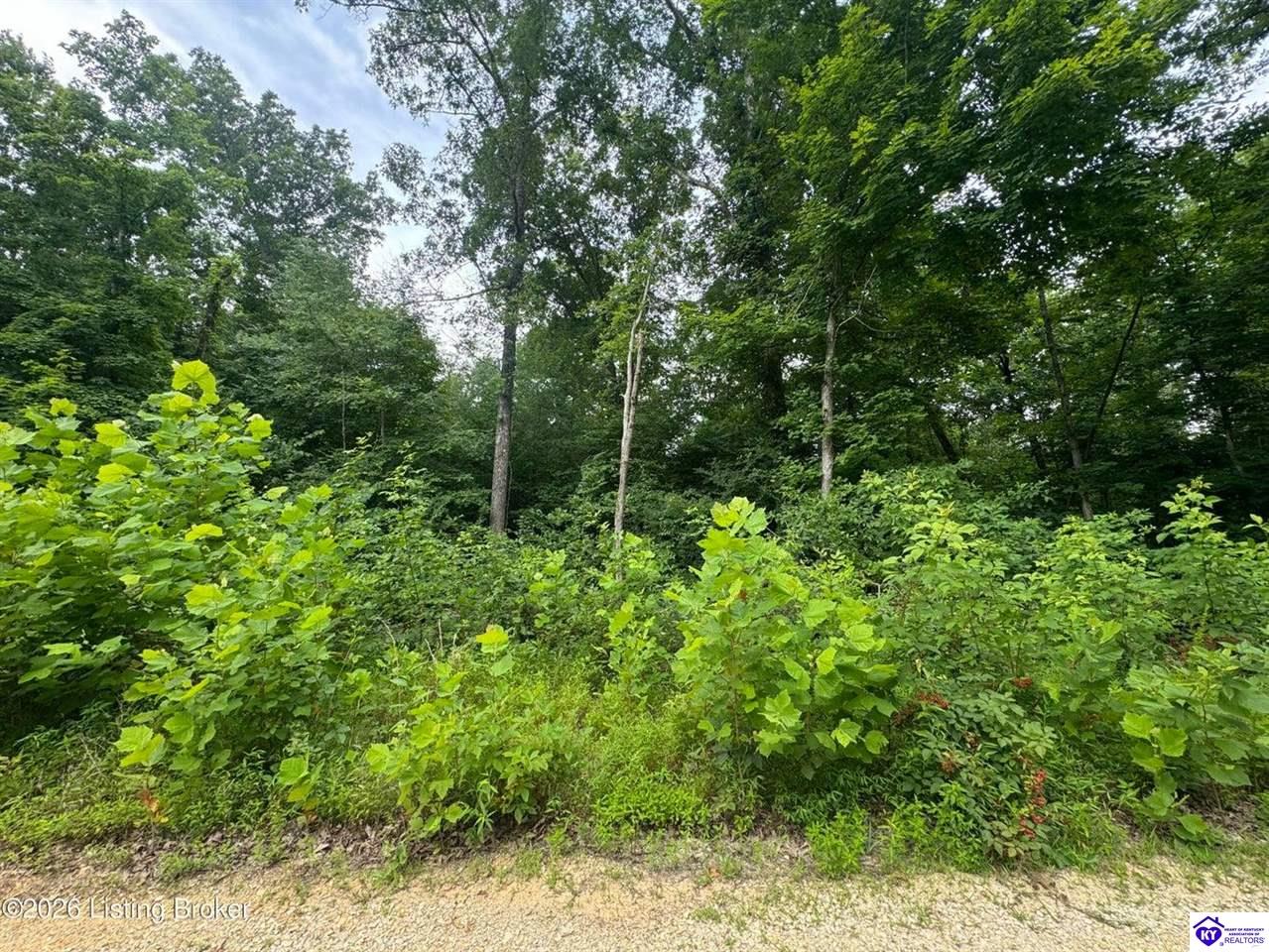 0 Ted Logsdon Road Clarkson, KY 42726 #3
