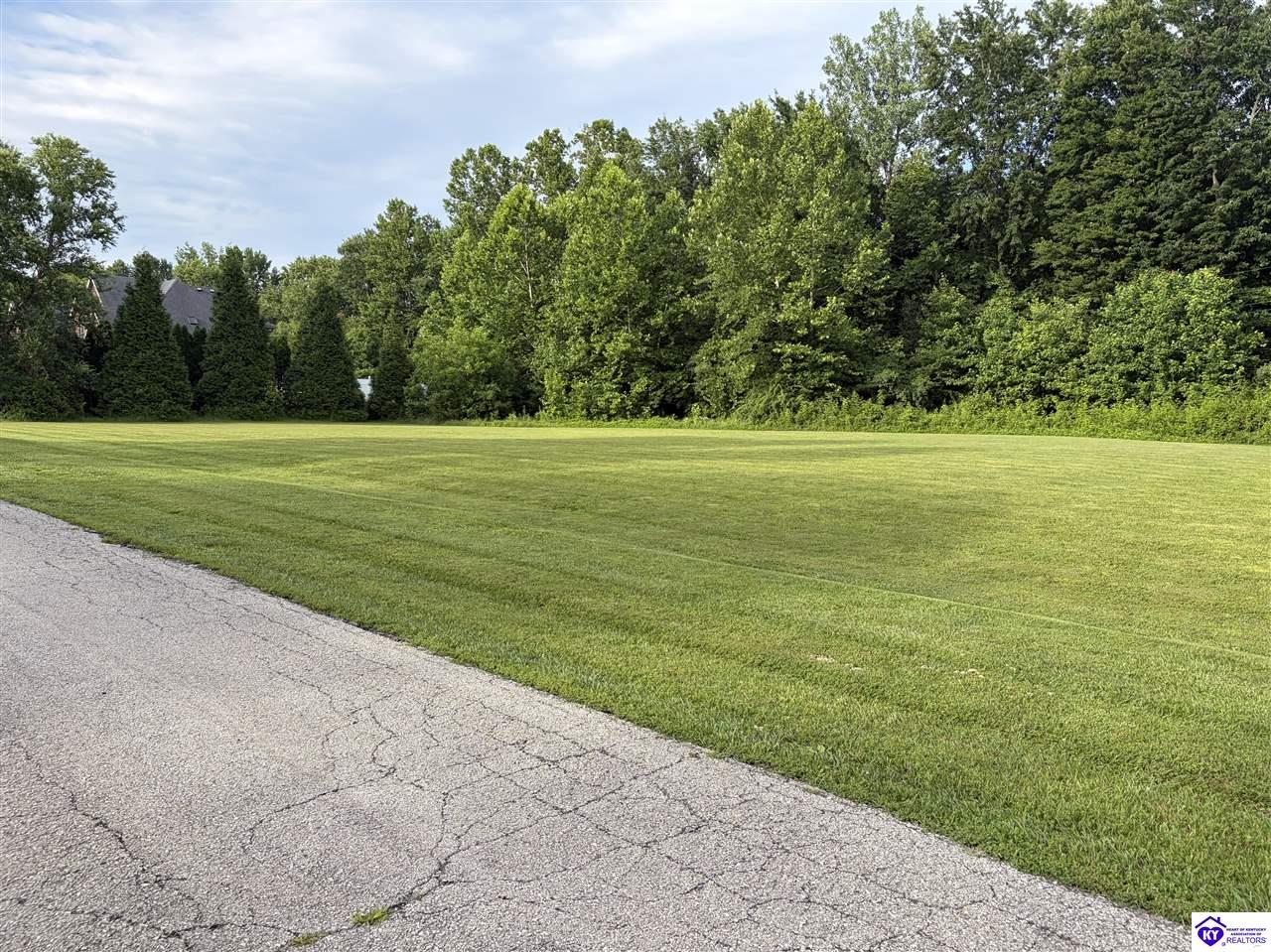 Lot 12 Turnpike Lane Lebanon Junction, KY 40150 #3