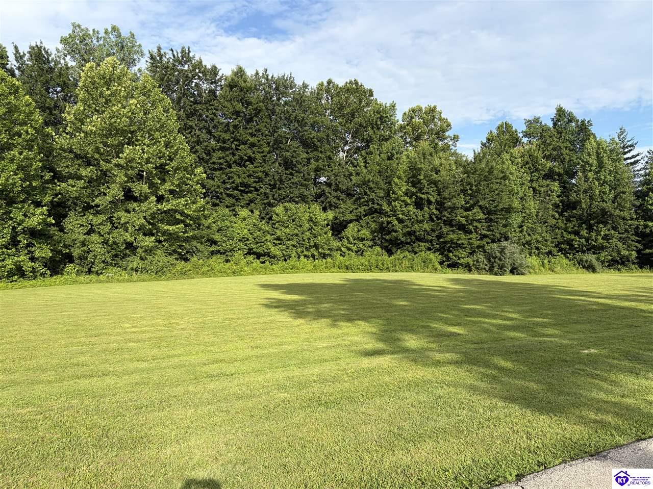 Lot 12 Turnpike Lane Lebanon Junction, KY 40150 #4
