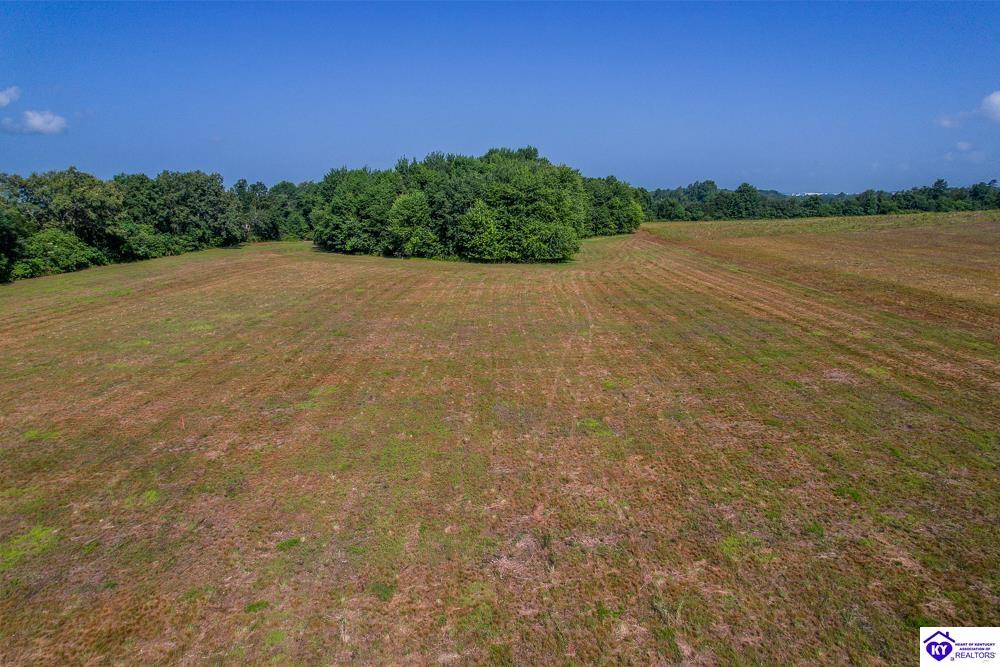 LOT 8 Heying Lane Hodgenville, KY 42748 #4