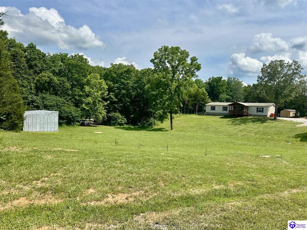 3155 Silver Mine Road Sonora, KY 42776 #1